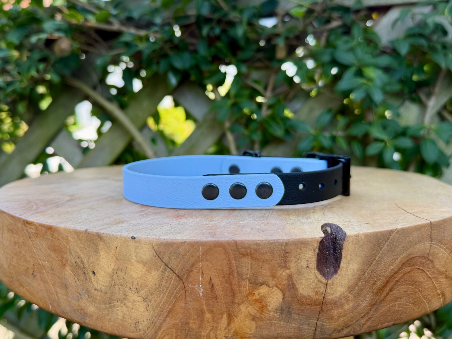 Custom Colour Classic Biothane Collar
