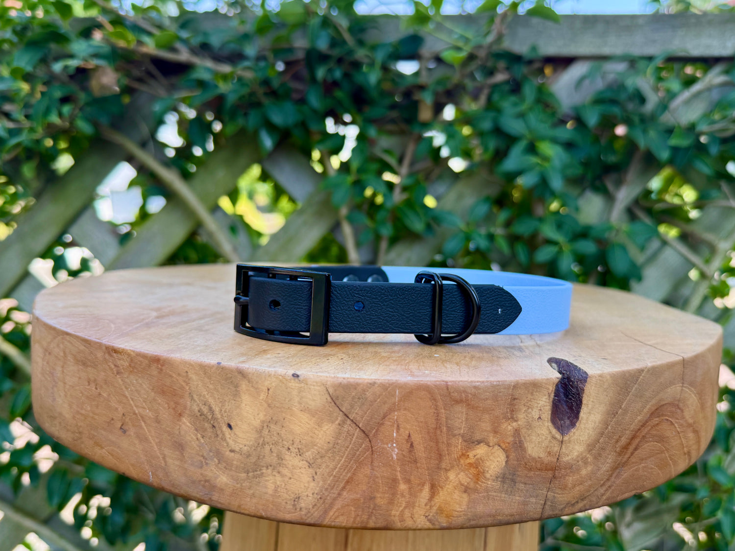 Custom Colour Classic Biothane Collar