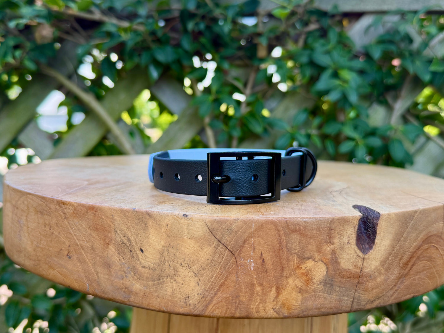 Custom Colour Classic Biothane Collar