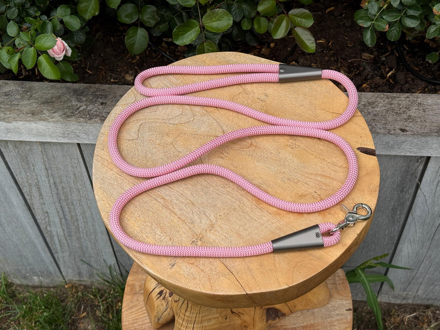 Laisse-collier de corde de qualité supérieure