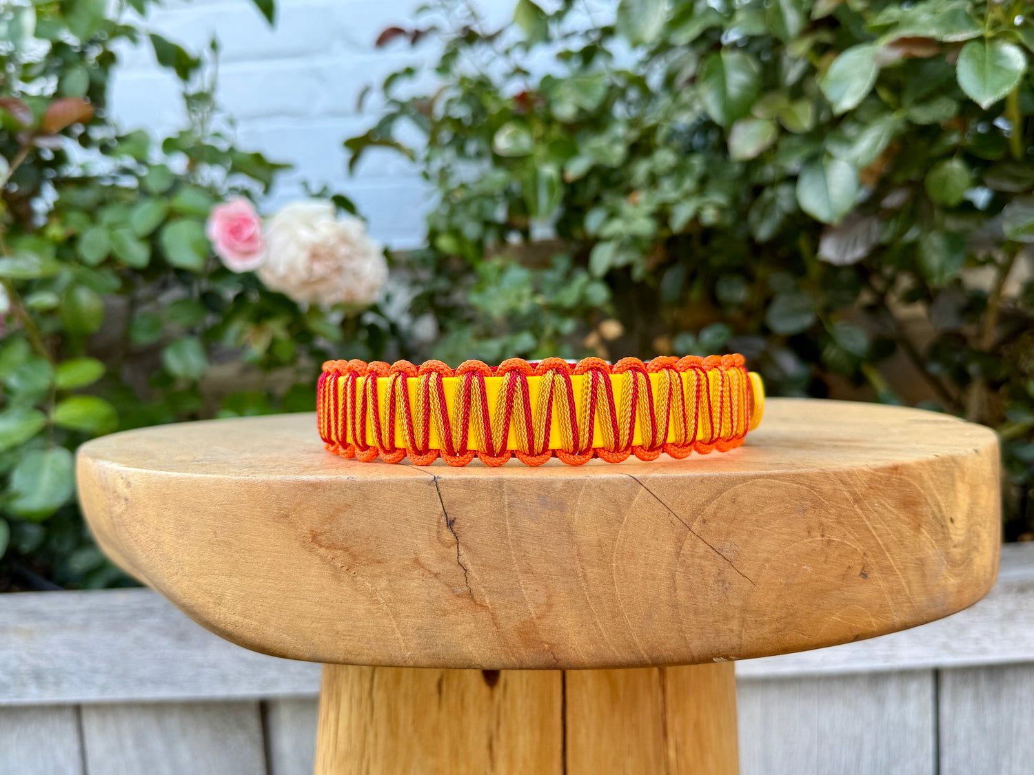 Winter Wonderland Biothane Klassieke Halsband