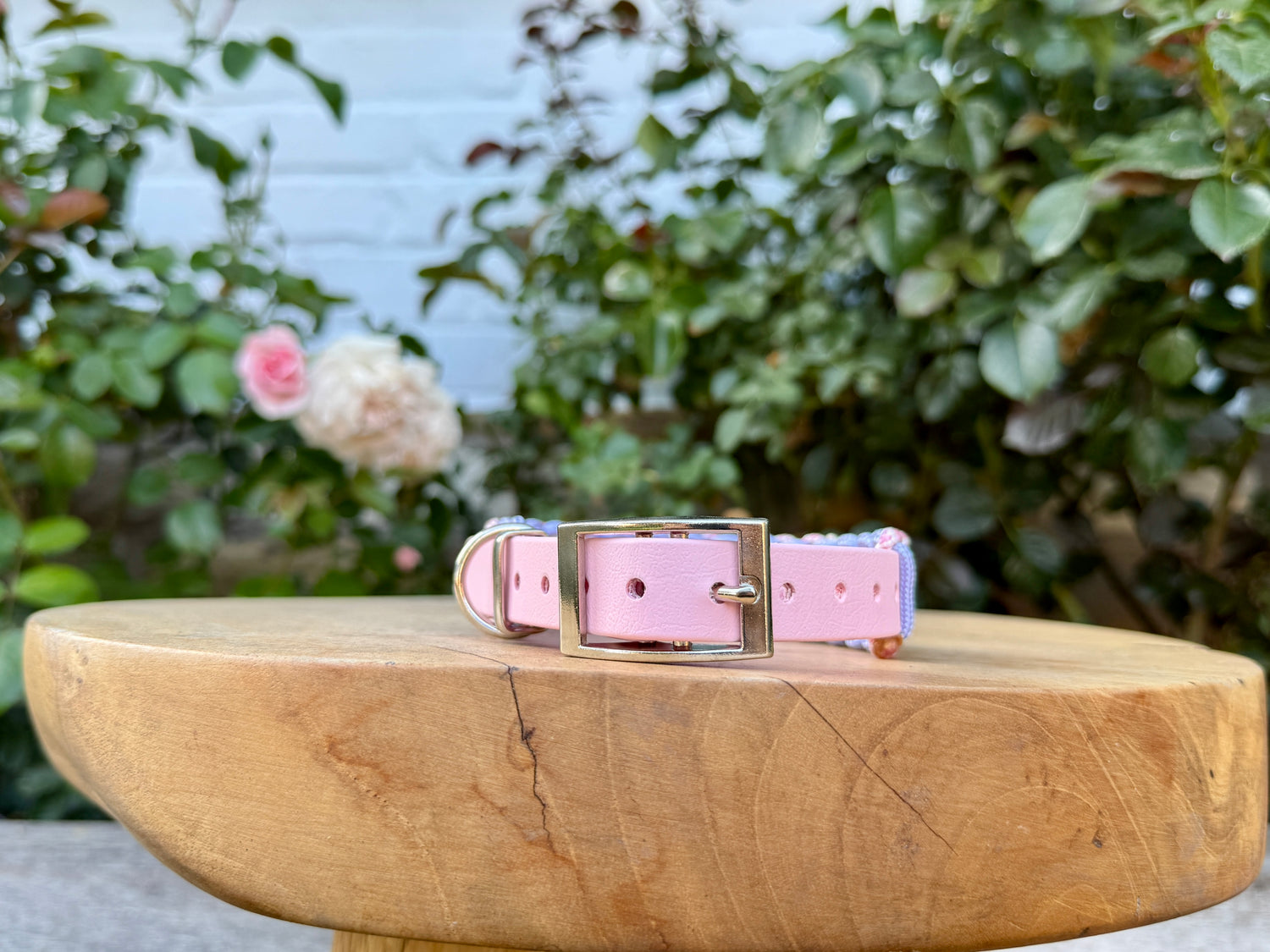 Spring Biothane Weave Classic Collar