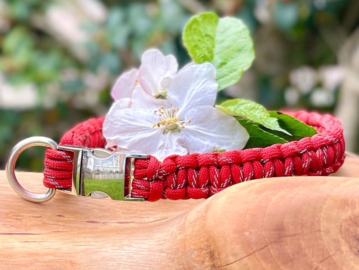 Paracord dog collar handmade