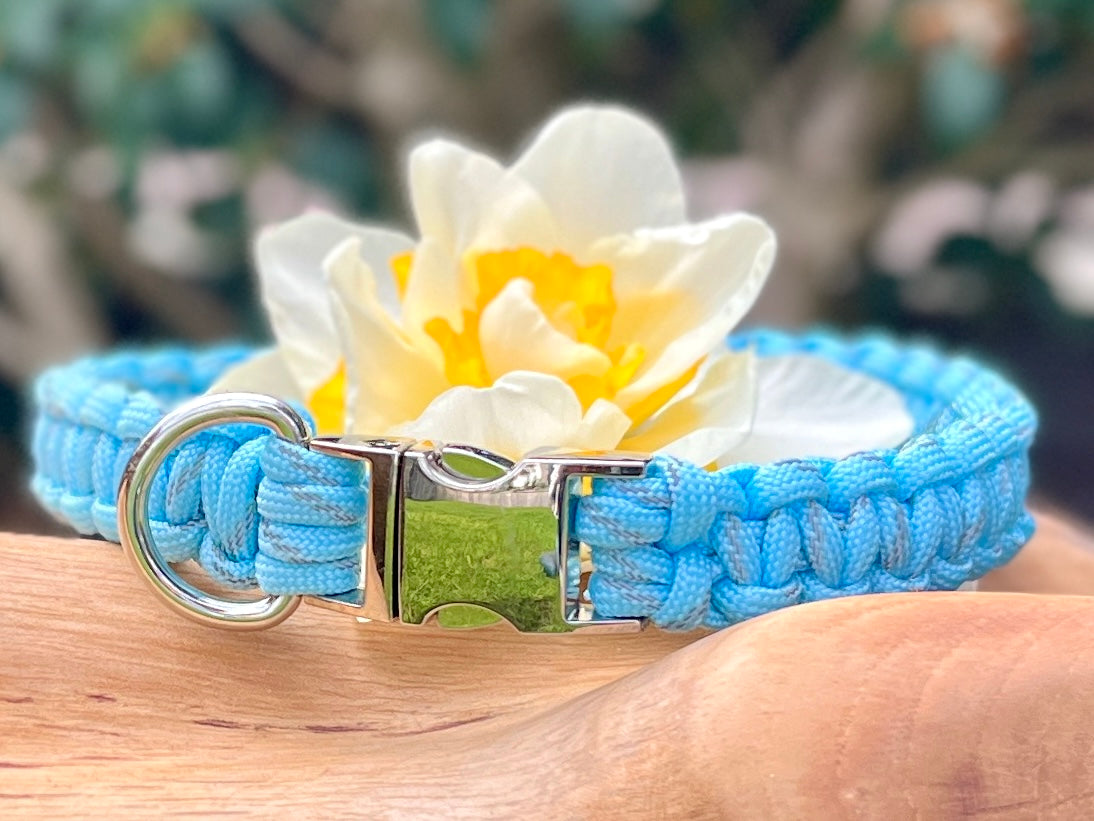 handmade paracord dog collar