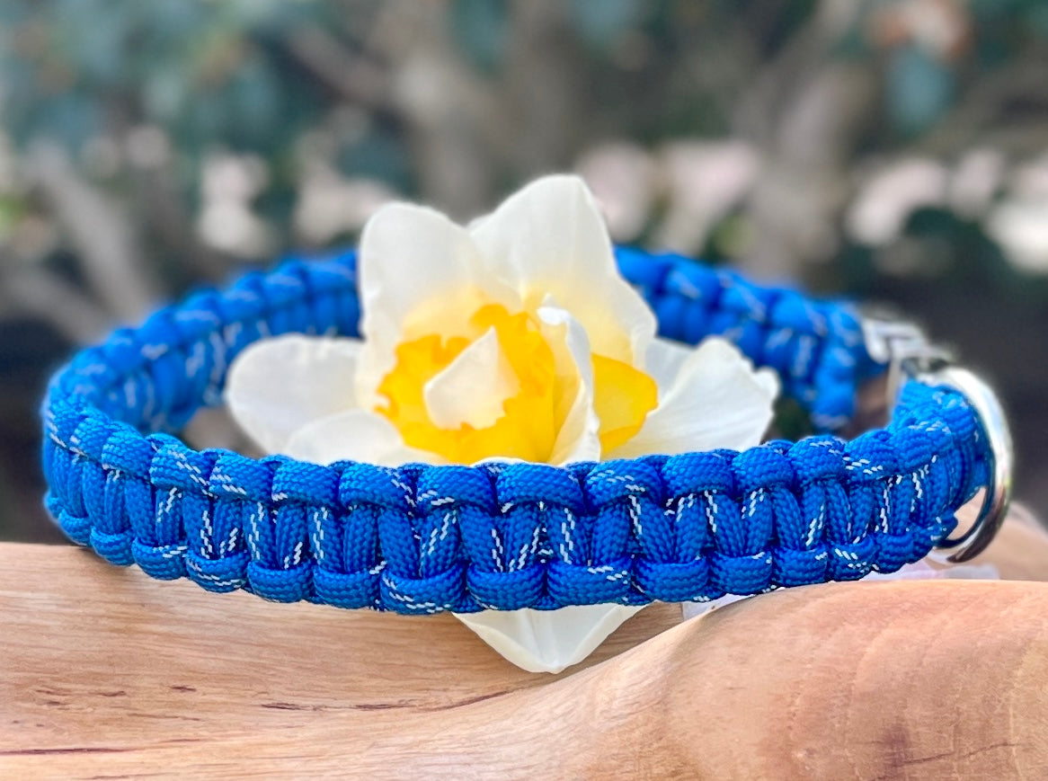 handmade paracord dog collar