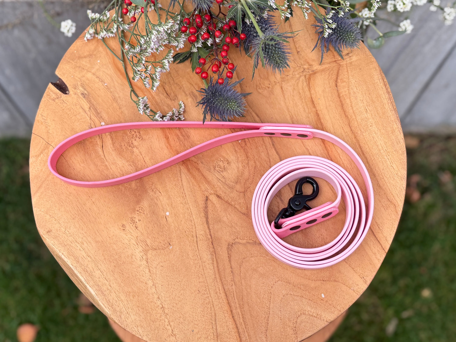 Laisse Biothane Bicolore Basique | Pastel & Rose Poussière