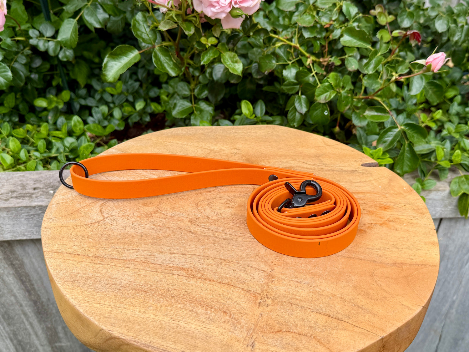 A handcrafted single-coloured burnt orange Biothane dog lead with premium black hardware, creating a bold yet timeless look. Waterproof, odour-resistant, and easy to clean, it is designed for lasting durability in all weather conditions. Strong, comfortable, and low maintenance, it delivers reliable performance with effortless everyday style.
