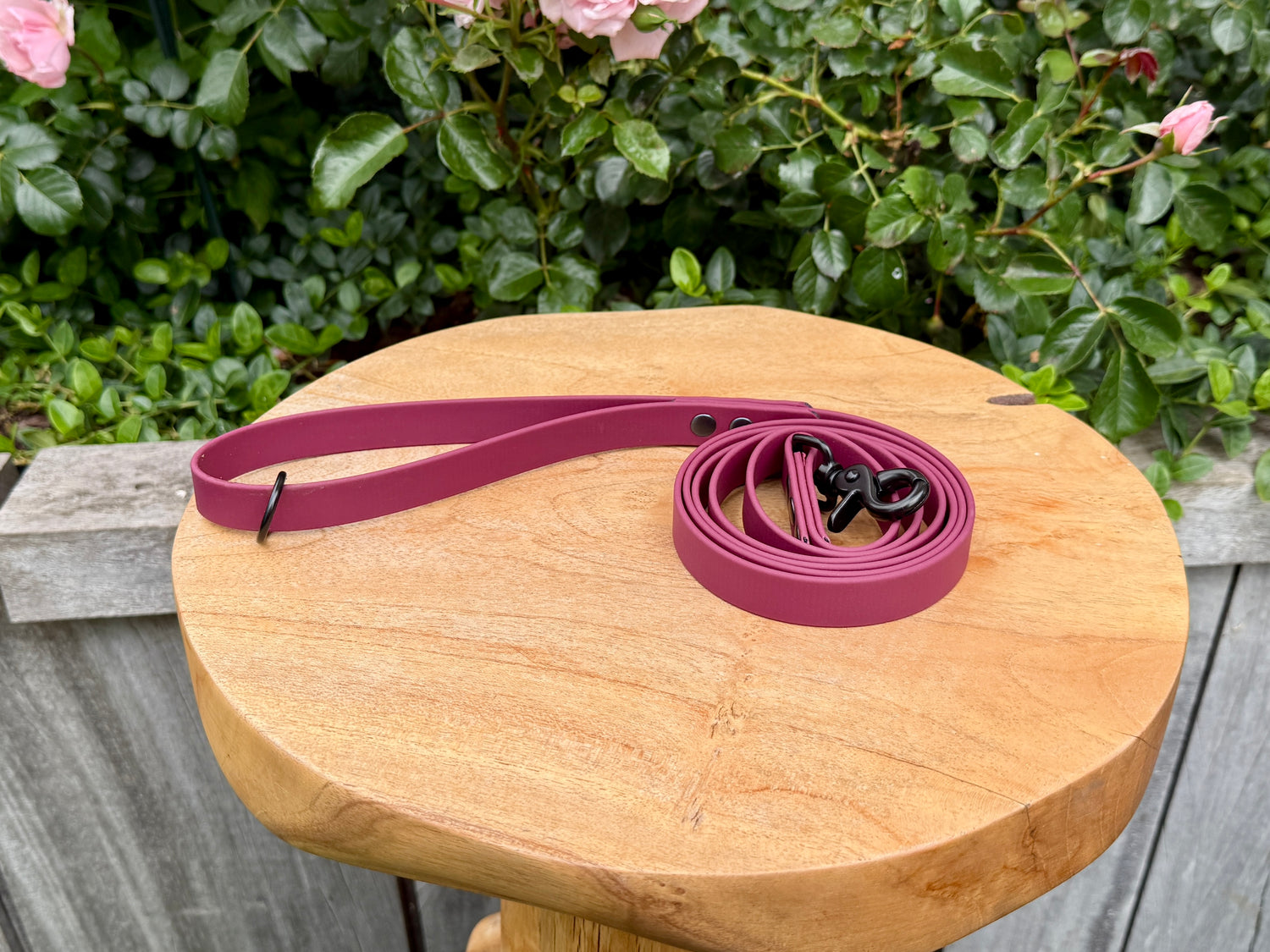 A handcrafted wine red single coloured Biothane dog lead with black premium hardware, showcasing a rich, elegant finish and a timeless design. Waterproof, odour-resistant, and easy to clean, it delivers exceptional durability and dependable performance in all weather conditions. 