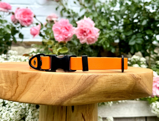 biothane dog collar handmade