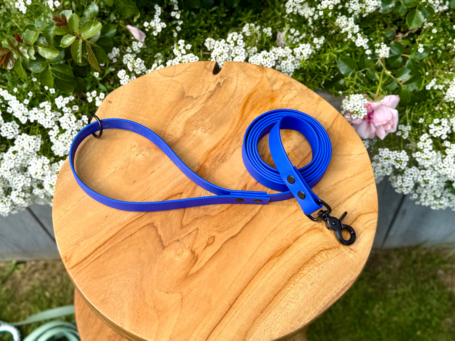 basic handmade biothane lead 