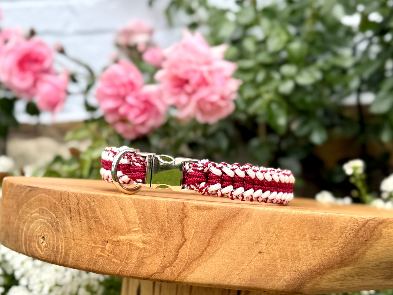 Paracord dog collar handmade