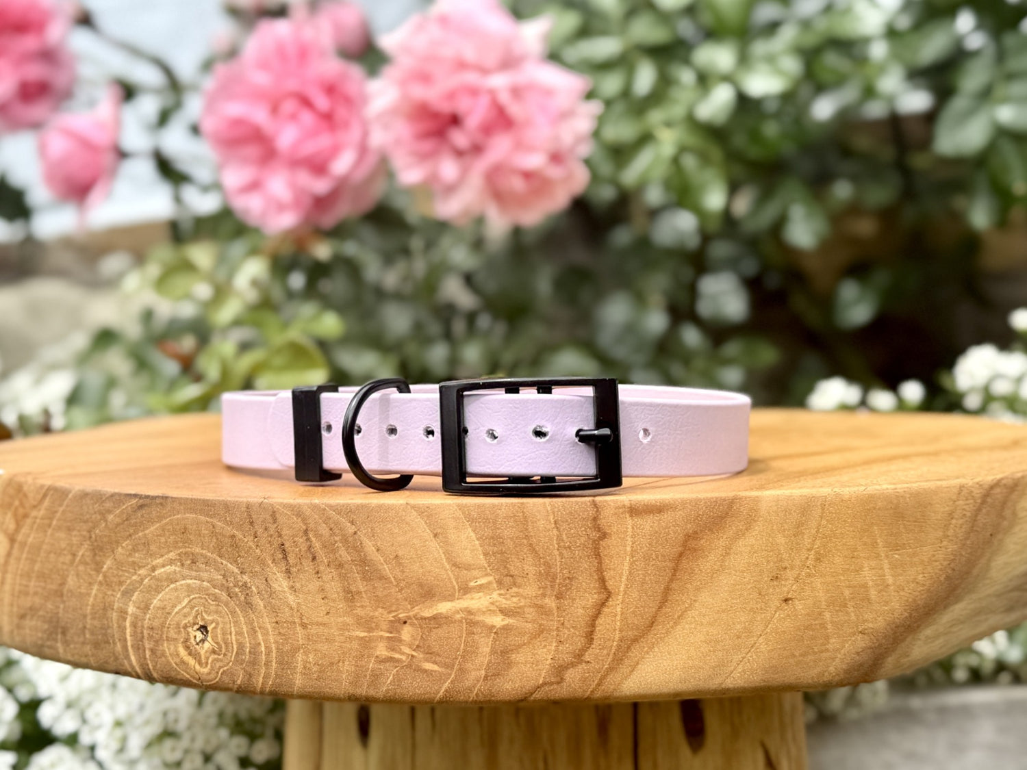 Biothane dog collar handmade