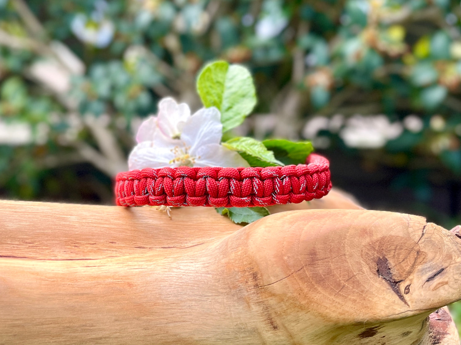 Paracord dog collar handmade