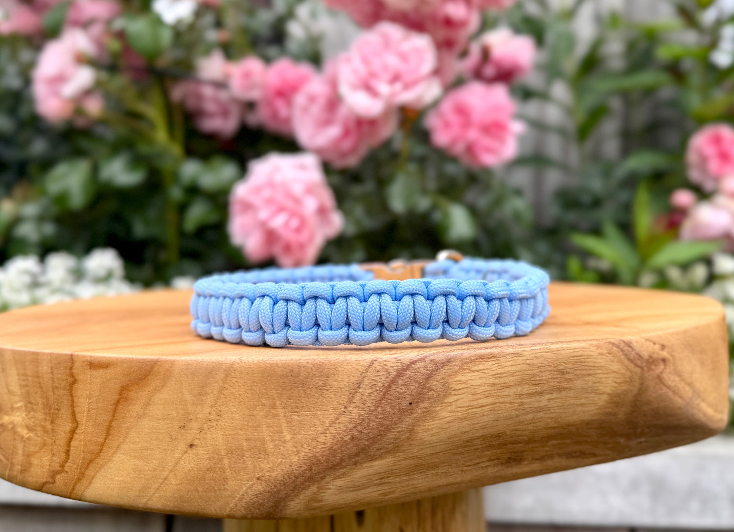 Paracord dog collar handmade