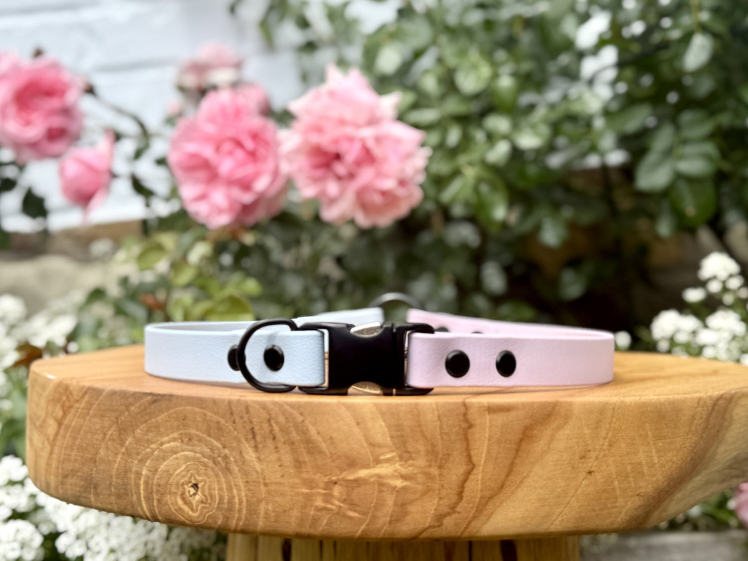 biothane dog collar handmade