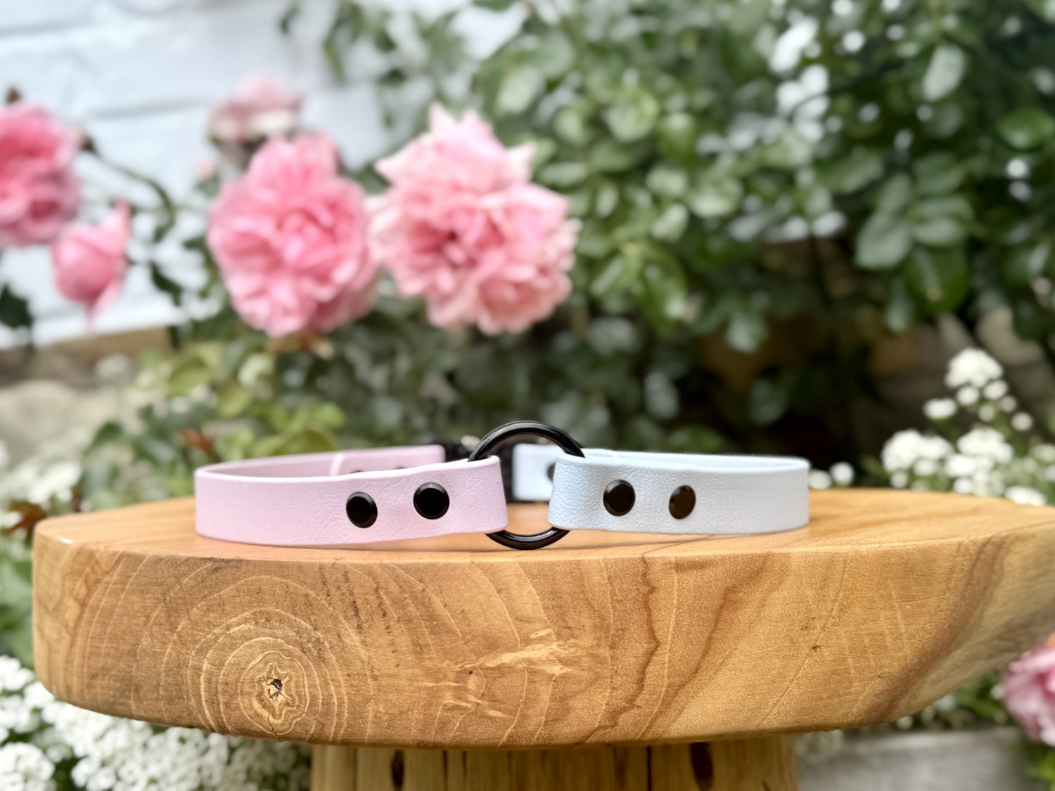 biothane dog collar handmade