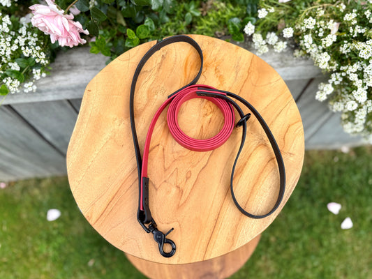 Biothane dog lead handmade