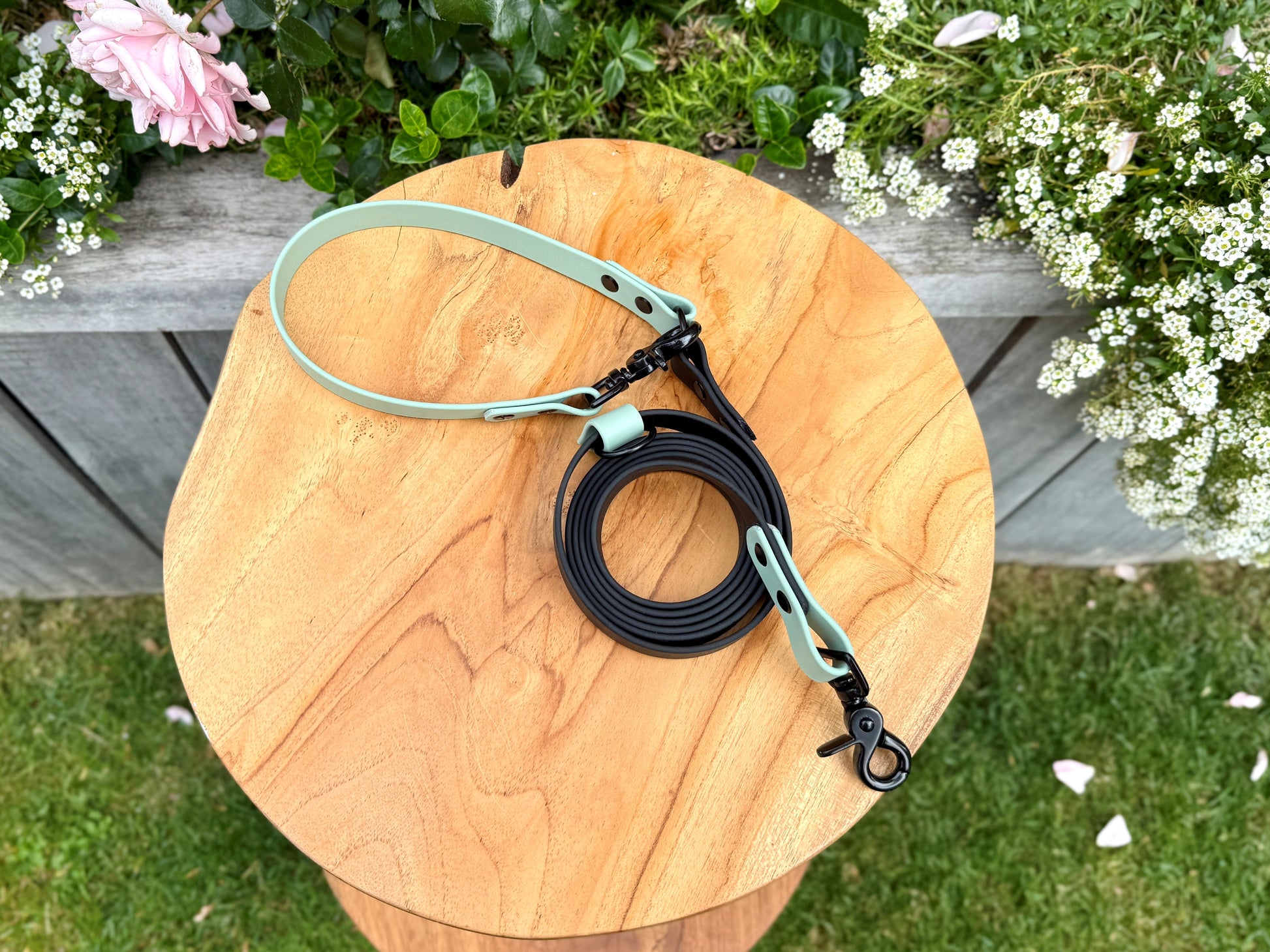 Biothane dog lead handmade