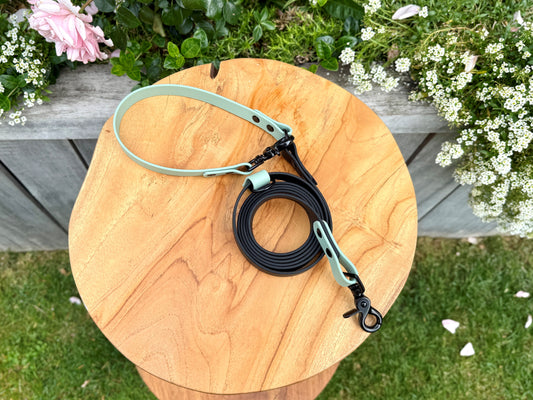 Biothane dog lead handmade