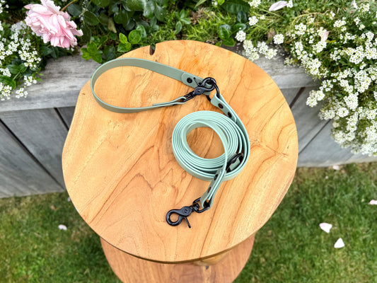 Biothane dog lead handmade