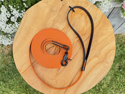 Biothane long lead