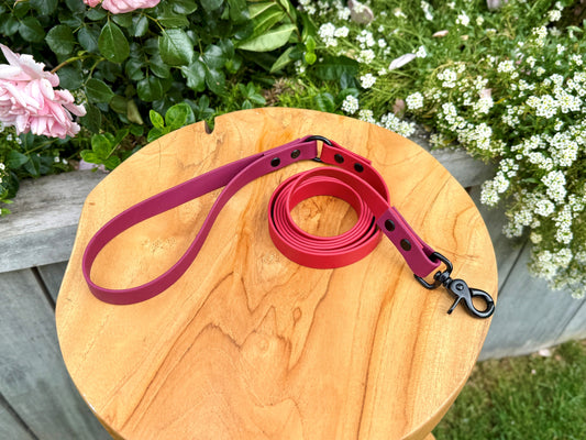 Biothane dog lead handmade