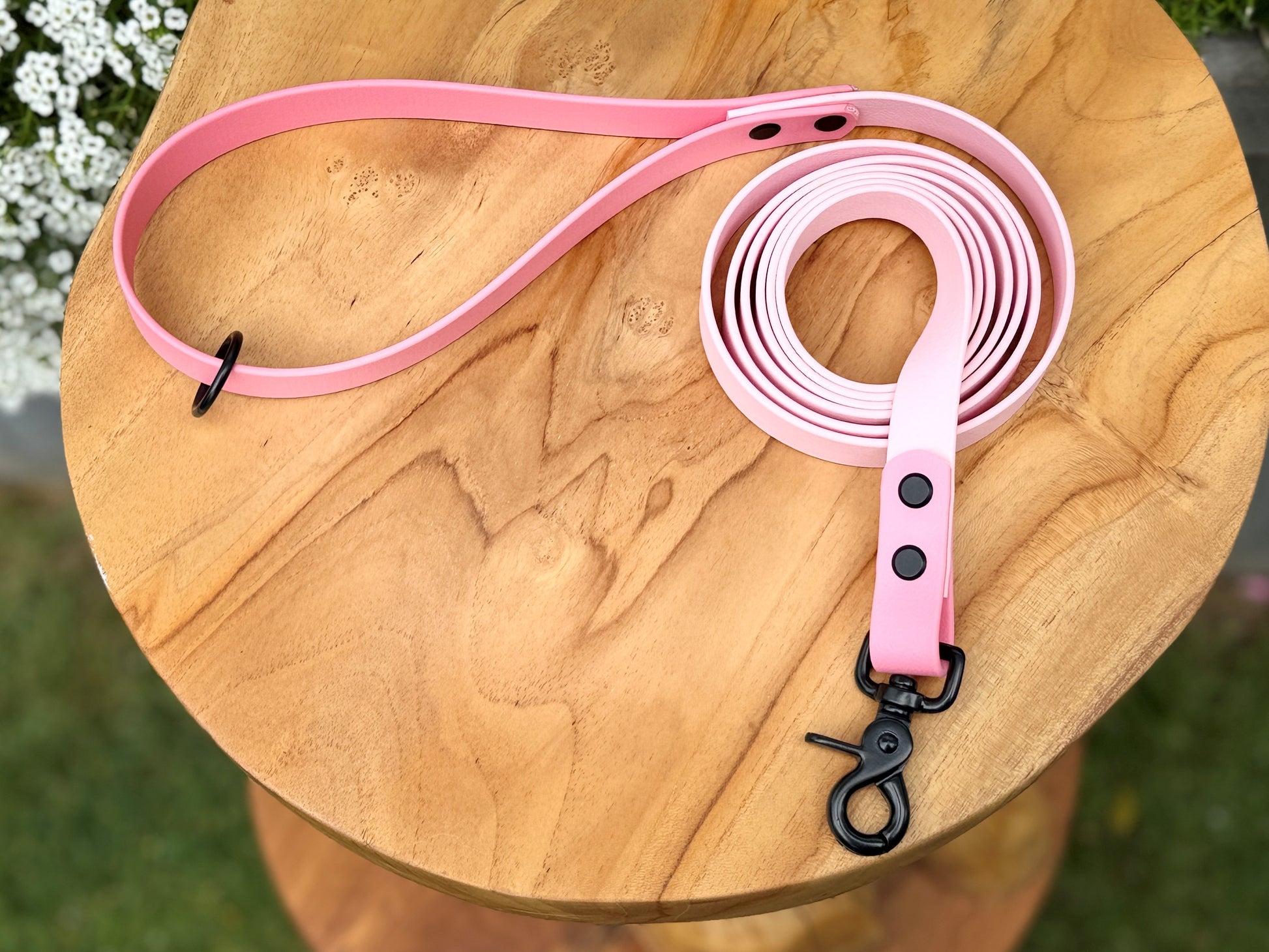 Biothane dog lead handmade