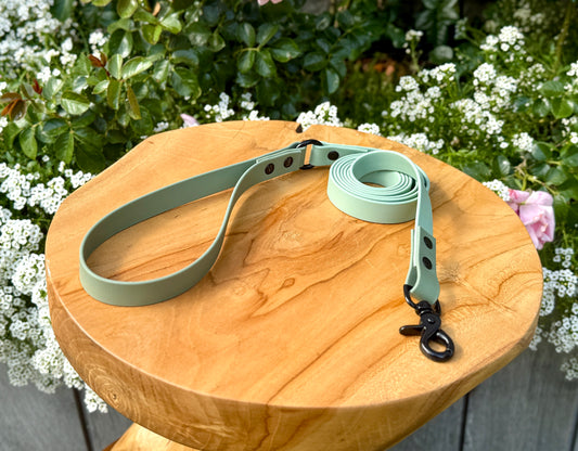 Biothane dog lead handmade