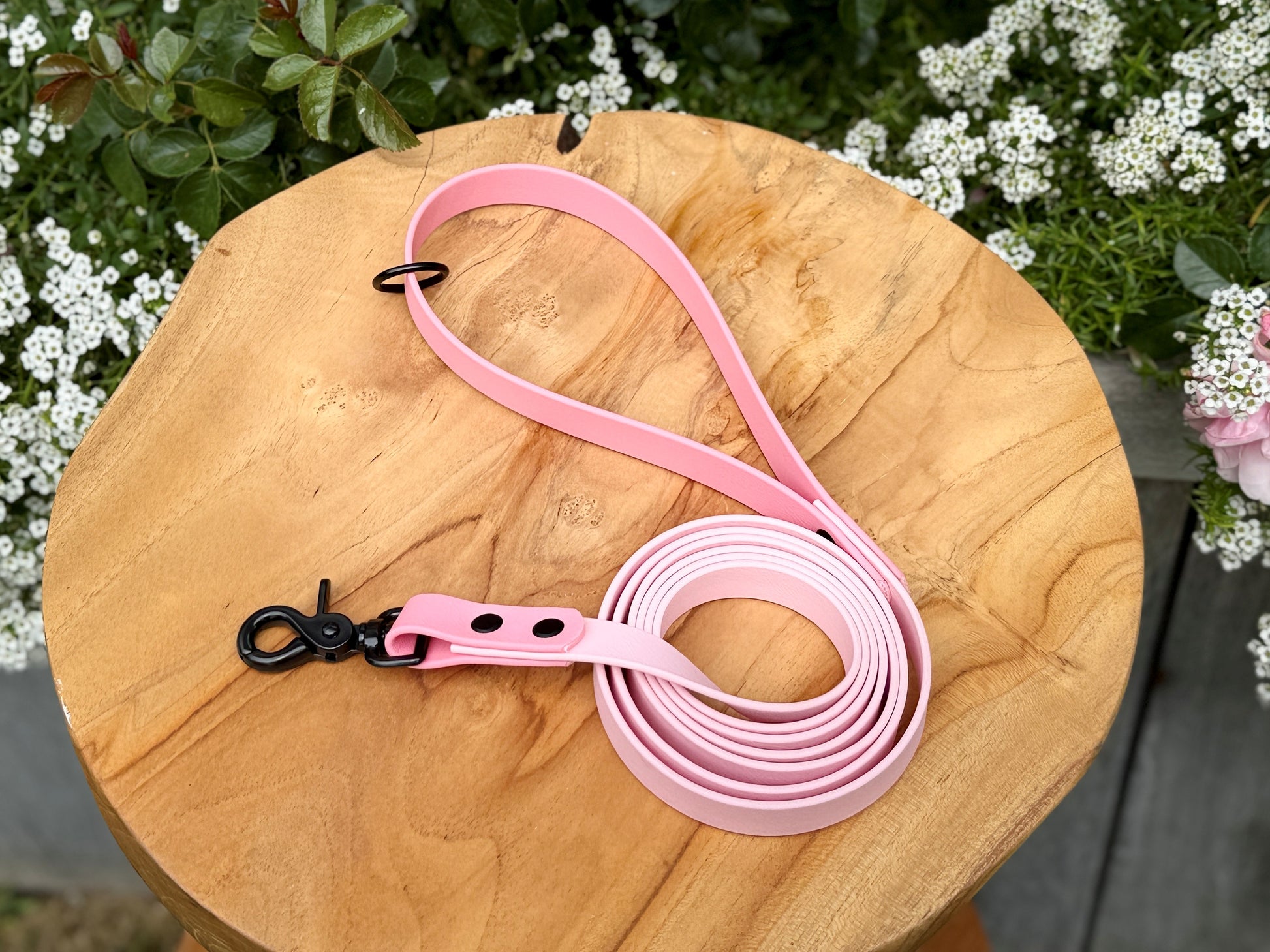 Biothane dog lead handmade