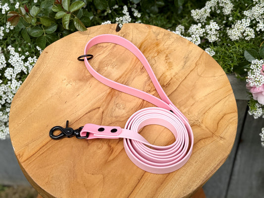 Biothane dog lead handmade